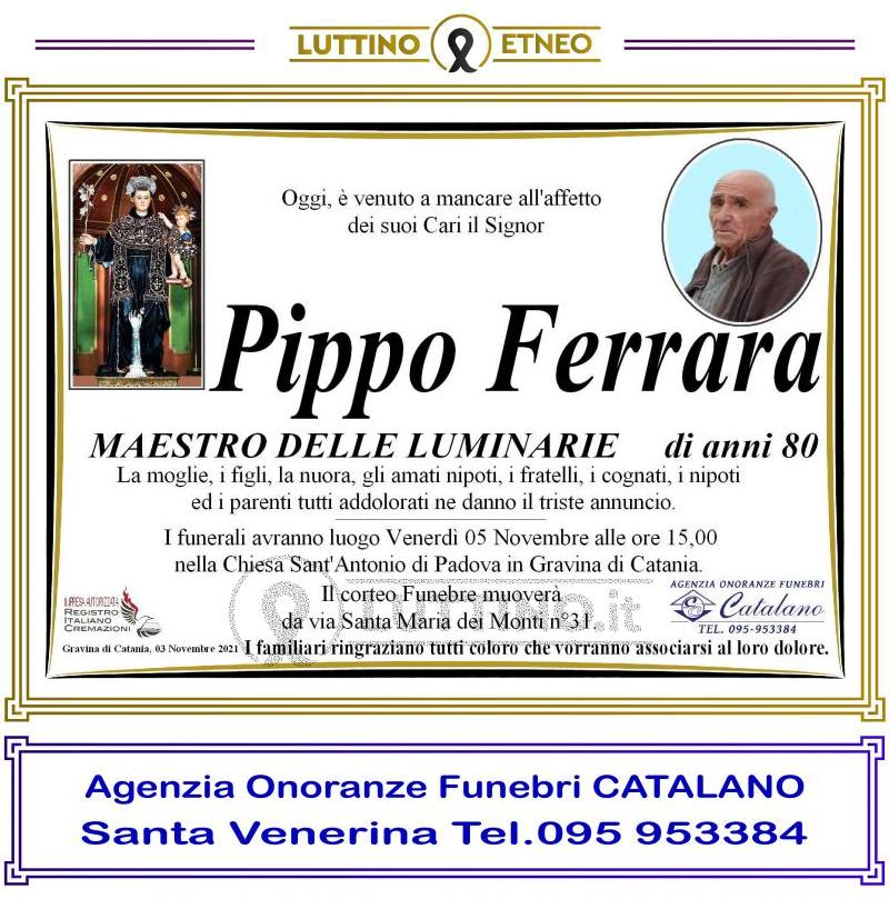 Pippo  Ferrara 